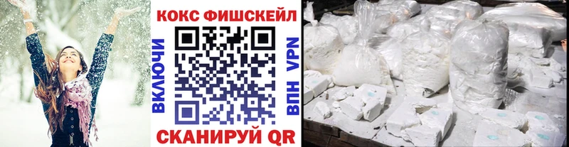закладка  Галич  COCAIN Fish Scale 