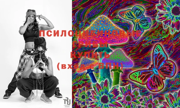 ешки Абаза